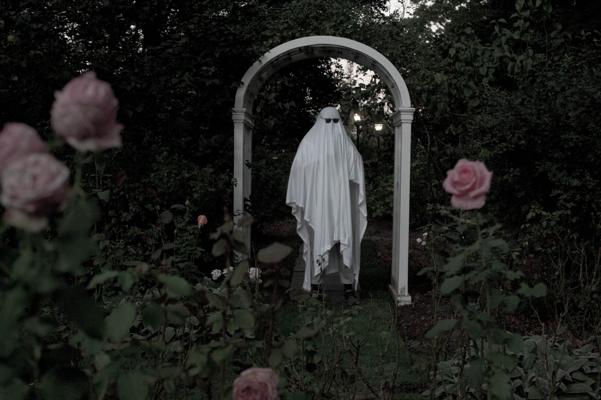 A landscape photo of someone wearing a white bed sheet and sunglasses, made to look like a ghost. There are light pink flowers in the foreground. The background has a whie arched gazebo, lit street lamps and trees. The picture is darkened